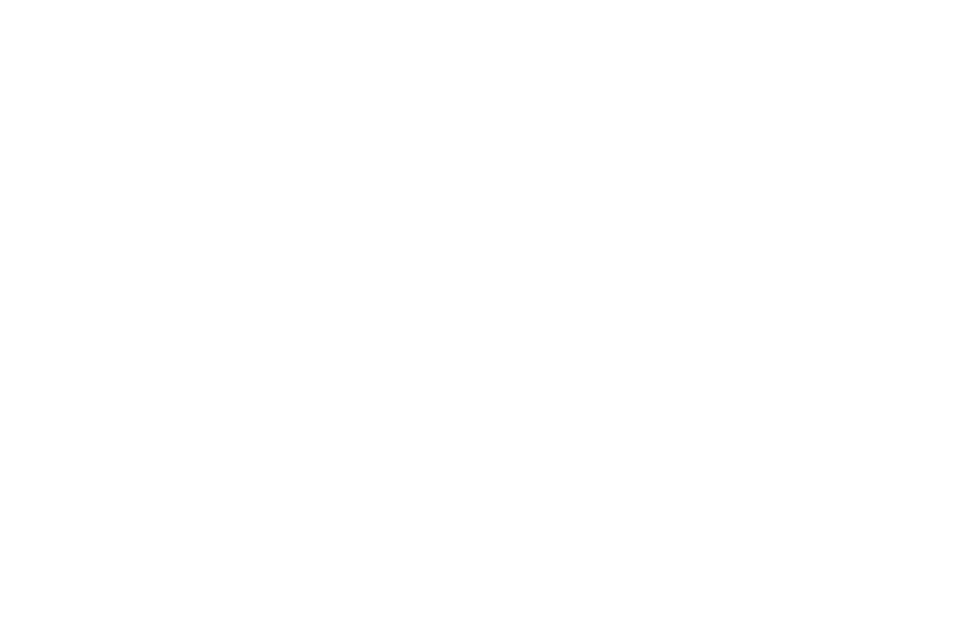 Fei Knowledge 霏鳥科技股份有限公司